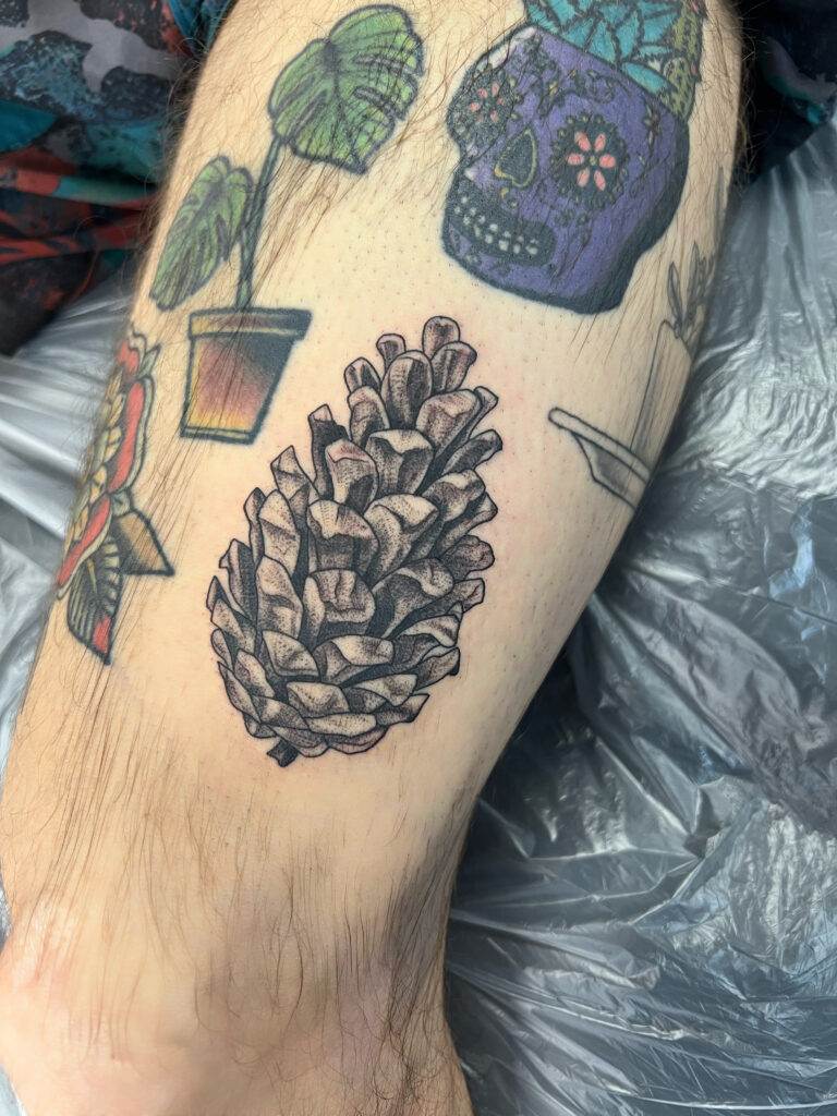 A tattooed leg featuring a detailed pinecone, a potted plant, and a decorative skull.